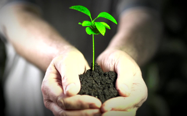 Environmental & Energy